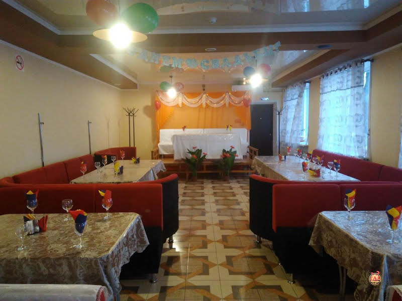 Чинор фотография №2