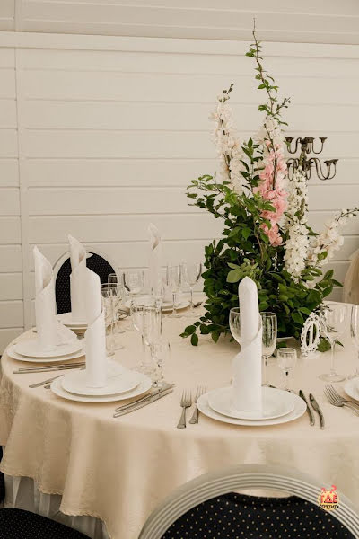 Гуси-Лебеди фотография №19