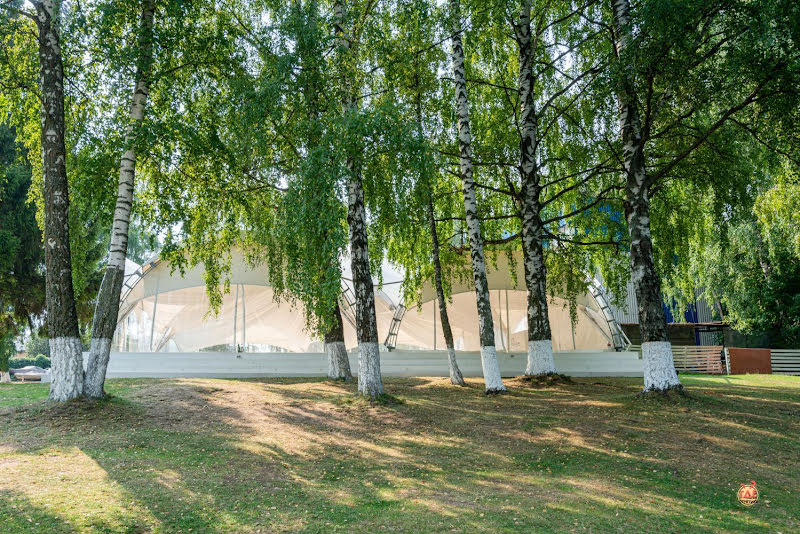 Пеликан фотография №13