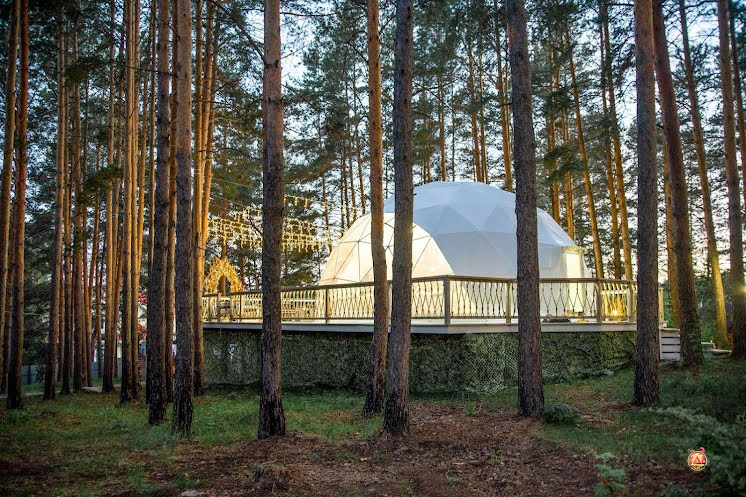 Купол «Премьер» в «Лесная галактика» фотография №19