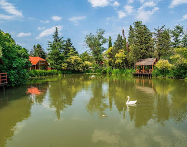  ресторан Озеро Дивное