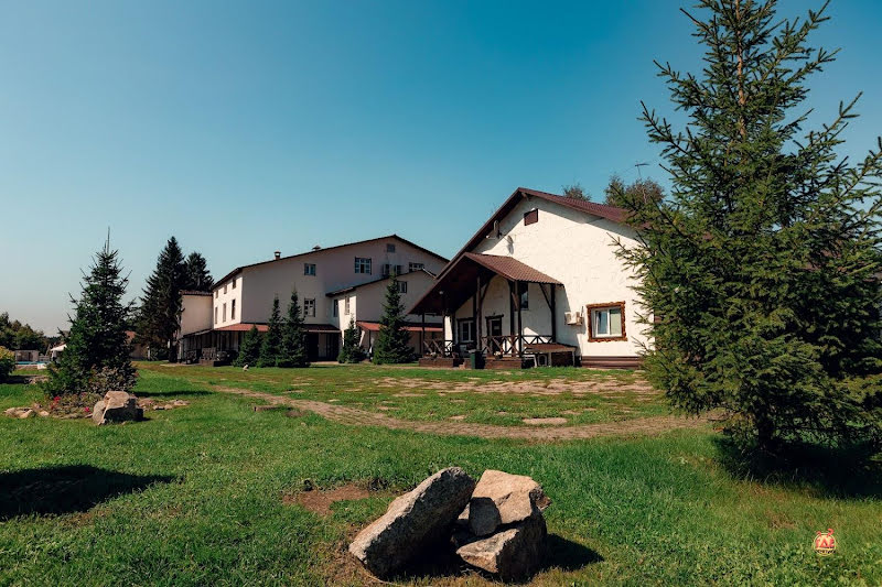 Чайка фотография №1