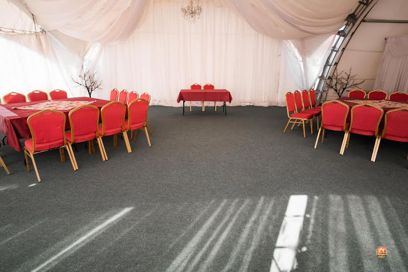 Белая лошадь фотография №12