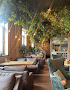 Основной зал  в «Tree Lounge»