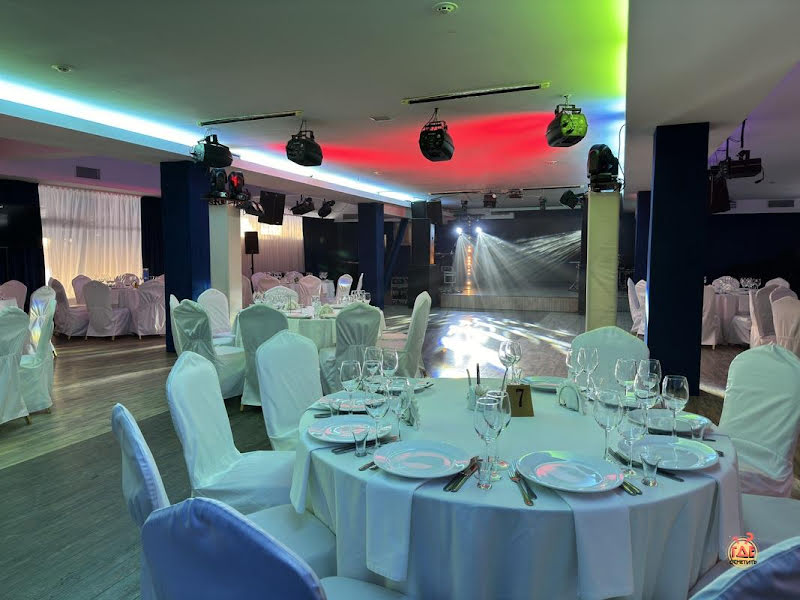 Чайка фотография №5