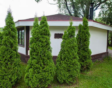  ресторан Рыболовная усадьба - Парк-отель Остров