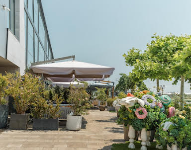  ресторан Высота 5642