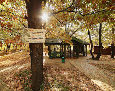  ресторан Дубровский