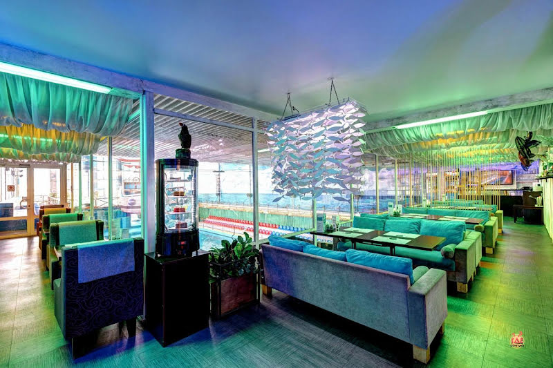 DOLPHIN PLANET фотография №5