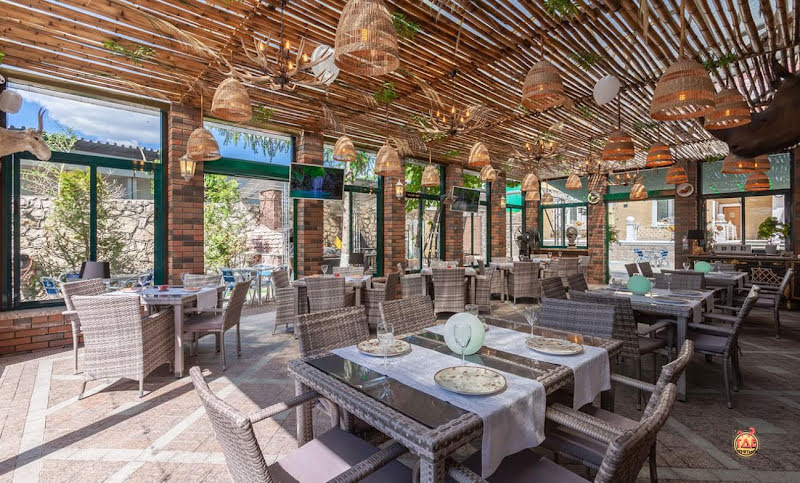 Олли фотография №10