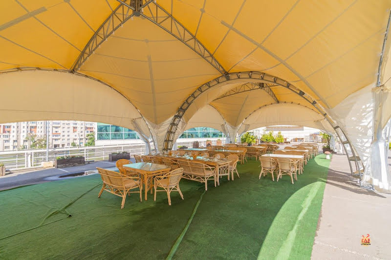 Гуси-Лебеди фотография №7