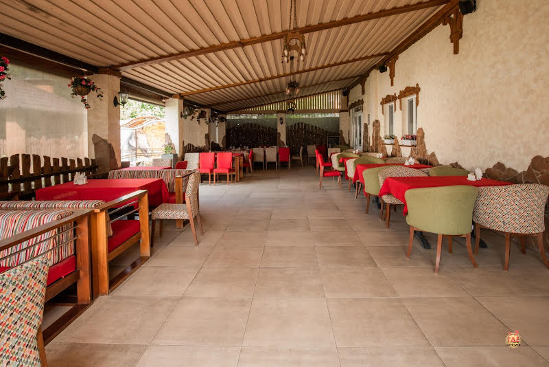 Белая лошадь фотография №13