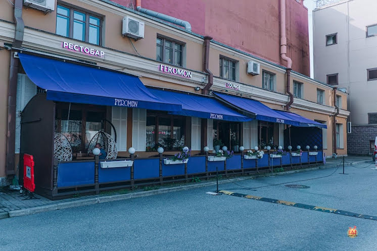 Зал "Первый" в «Feromon Efimova» фотография №9