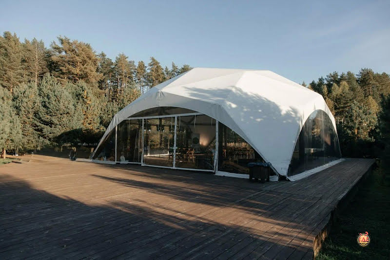 Хвоя фотография №9