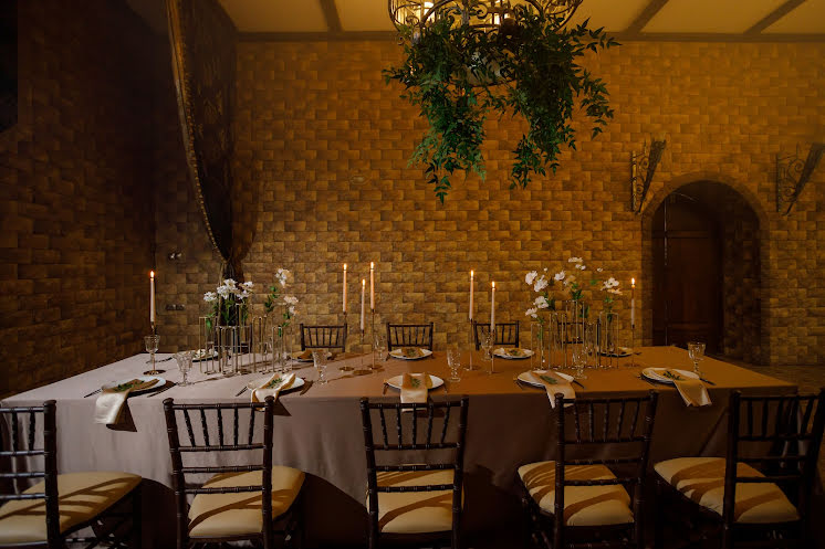 Каминный зал в «Резиденция Сагиттариус» фотография №2