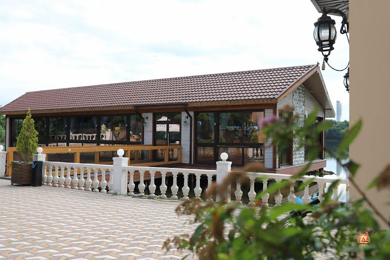 Белая береза фотография №11