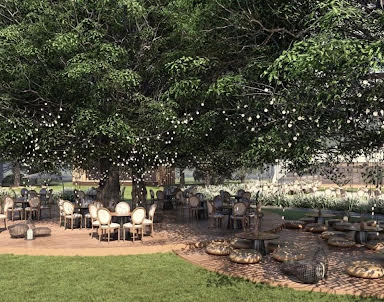  ресторан Ривиум