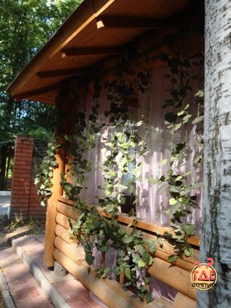 Солярис фотография №5