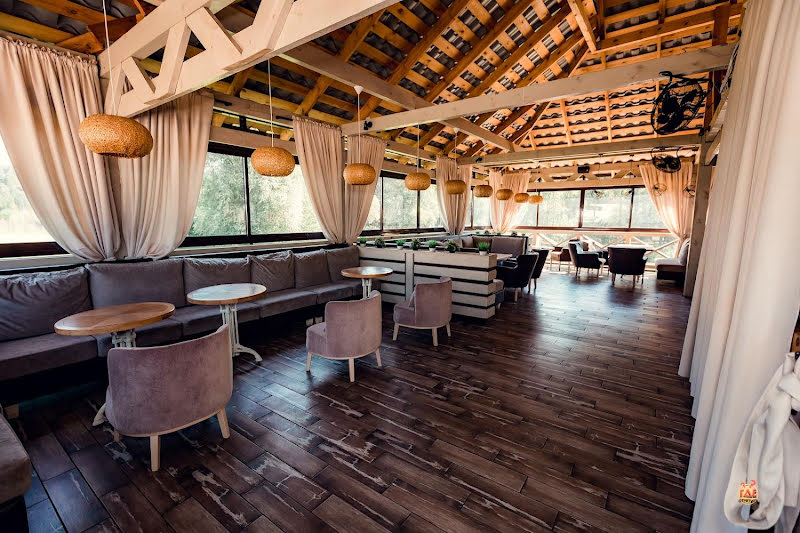 Чайка фотография №12