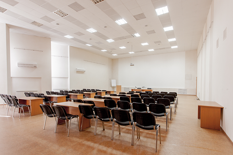 Иволга фотография №9