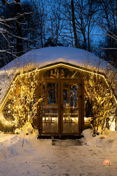 Fox фотография №11