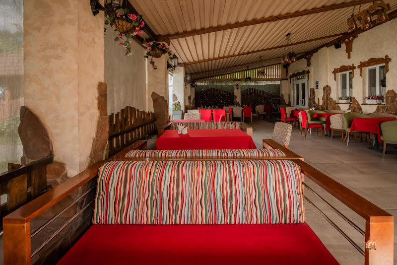 Белая лошадь фотография №15