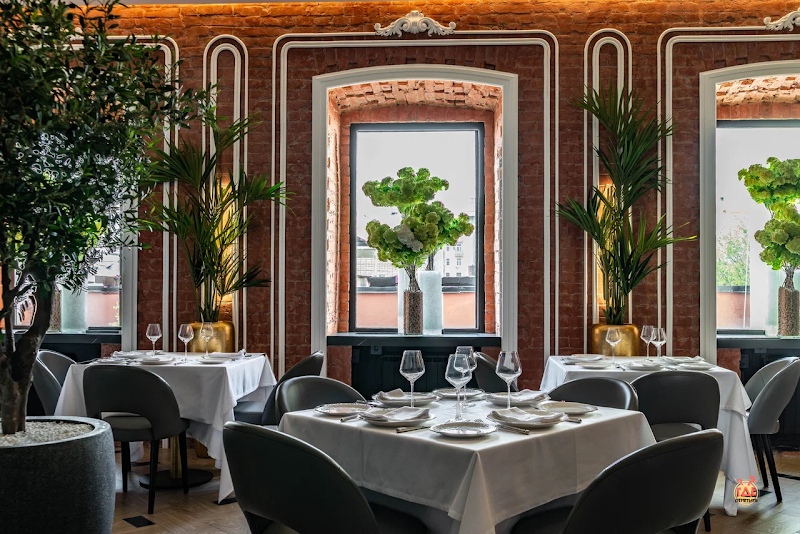 Capo фотография №9