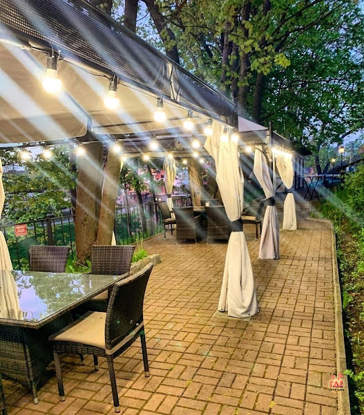 Астер фотография №18