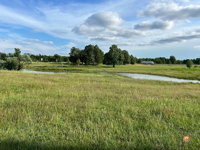 Терраса в «Поляна невест» фотография №11