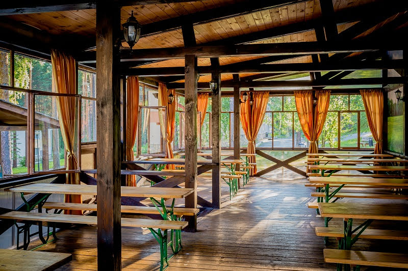 Иволга фотография №4