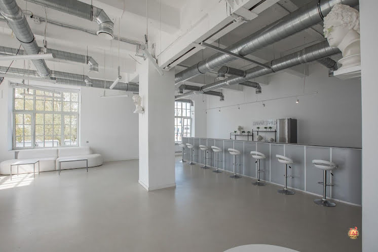 Mr.White в «Rubin Loft на Кожевенной» фотография №6