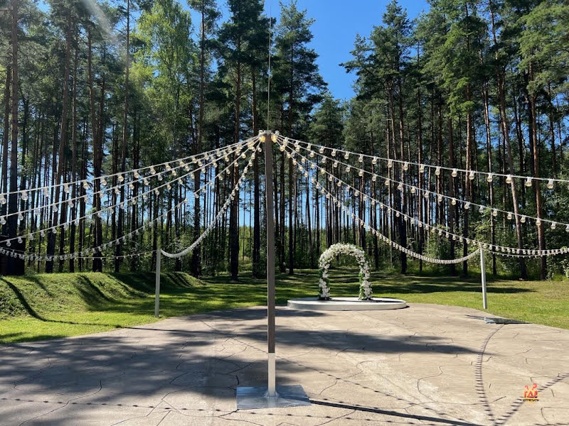 Divo фотография №13