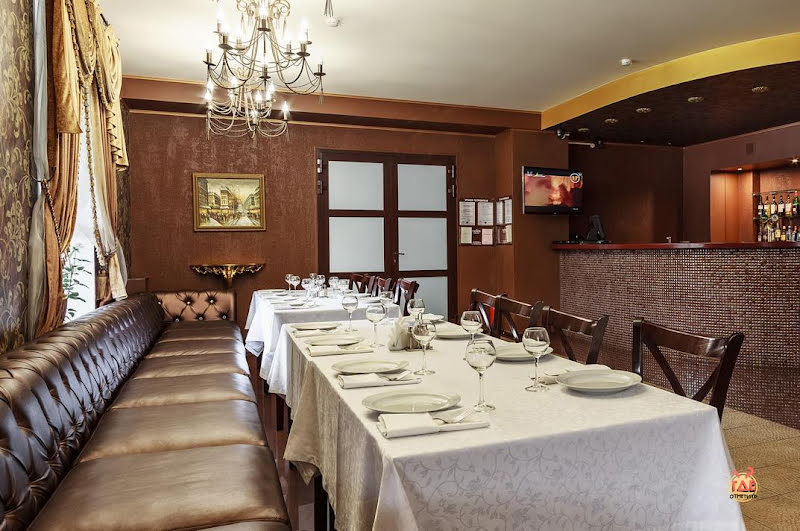 Чайка фотография №9