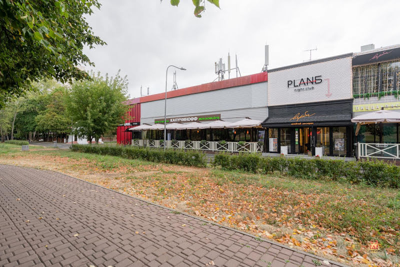 Верба фотография №19