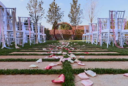 Зона для выездной регистрации в Вип-зал №1