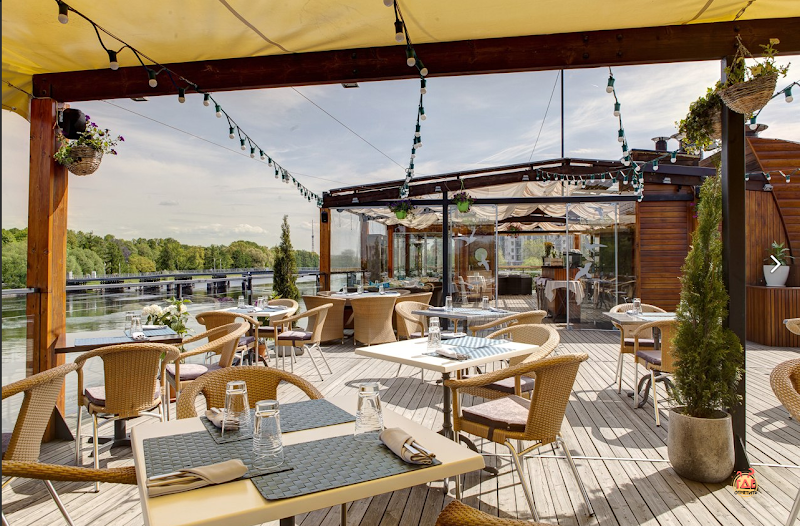 Чайка фотография №9