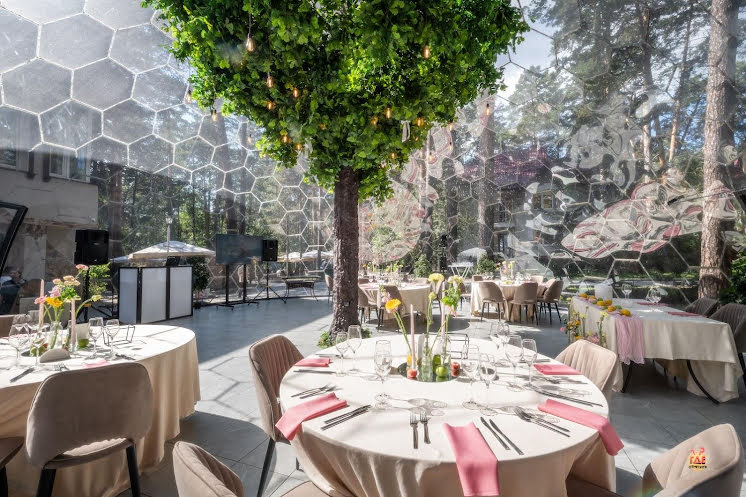 Эйва в «Хвоя» фотография №1