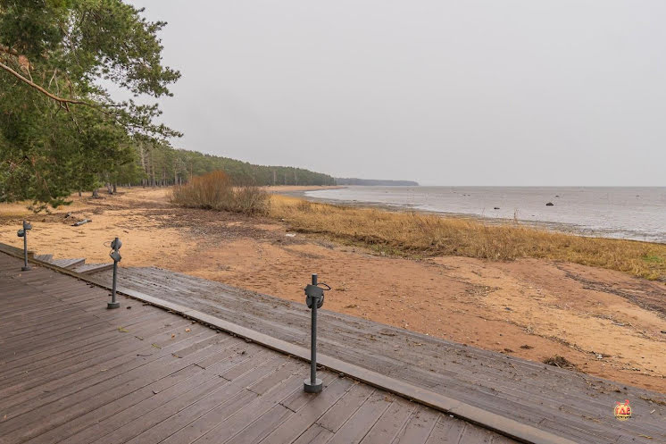 VIP-зал  в «Ель» фотография №11