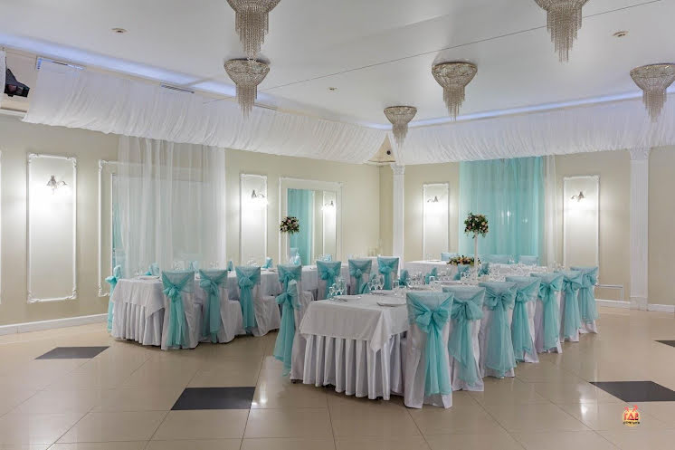 Большой зал в «Силуэт» фотография №11