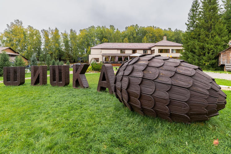 Панорамный зал в «Шишка» фотография №19