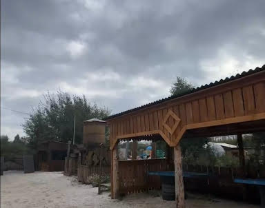  ресторан Мичуринские пруды