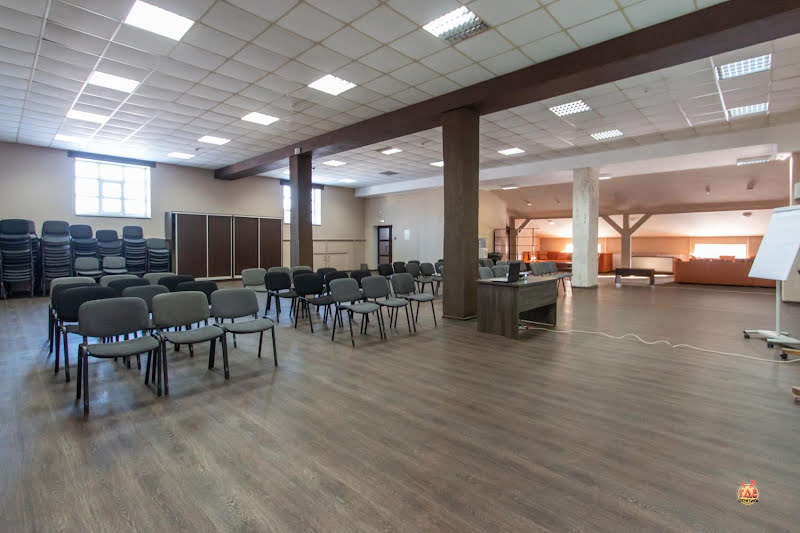 Чайка фотография №12