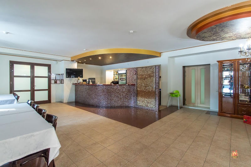 Чайка фотография №4