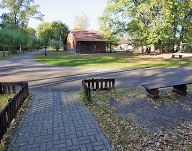 Корпоратив в Лукоморье