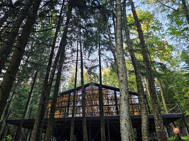 Дивный Лес фотография №19