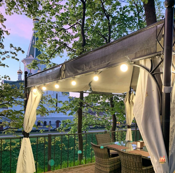 Астер фотография №19