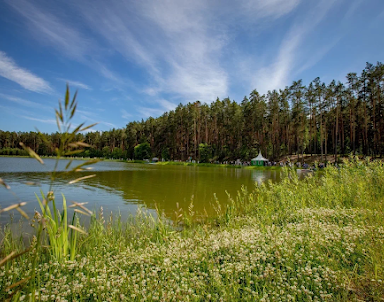  ресторан Forest-lake