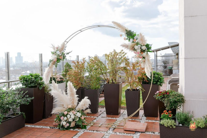 Доктор на крыше фотография №13