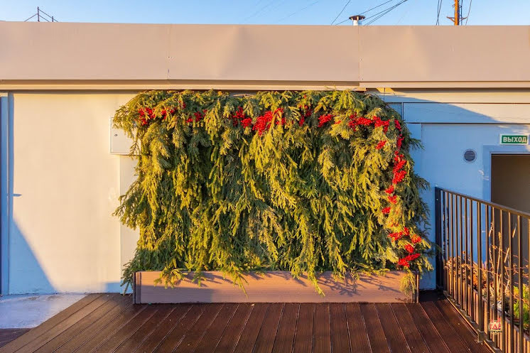 Основной зал  в «Ближе к небу» фотография №4