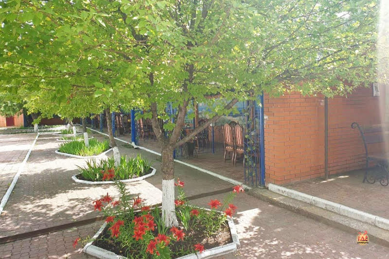 Барашка фотография №17